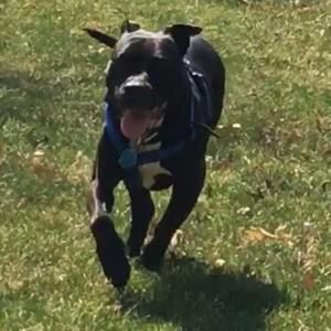 Meet your Posher, Dave